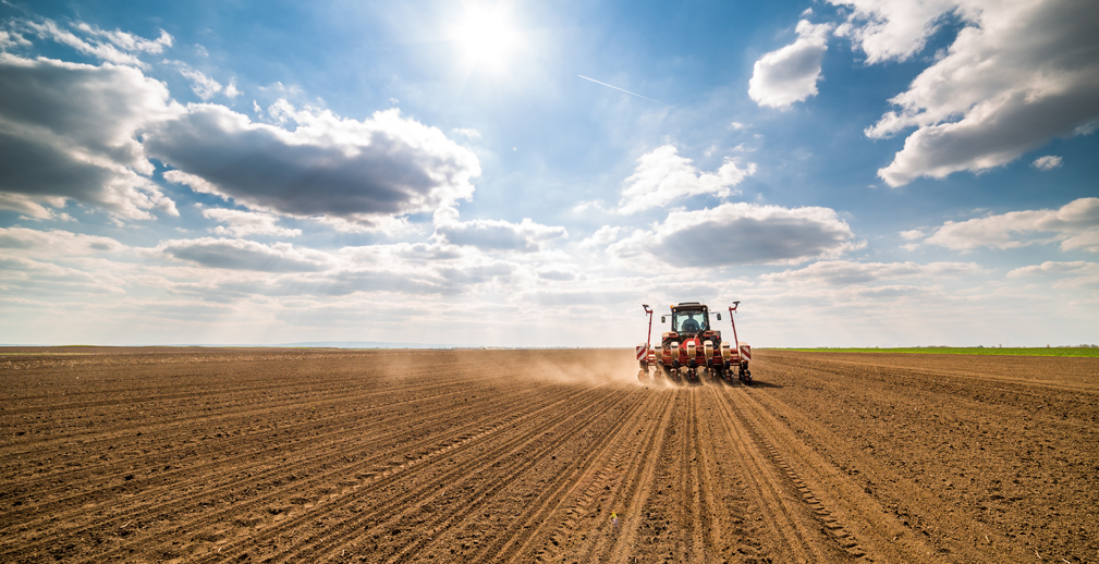 Россельхозбанк на четверть нарастил льготную поддержку АПК