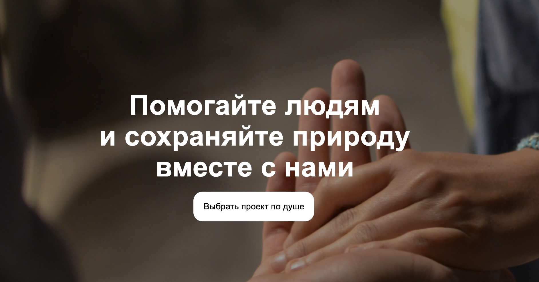 Авито запустил цифровой проект для социальной помощи — Авито Польза