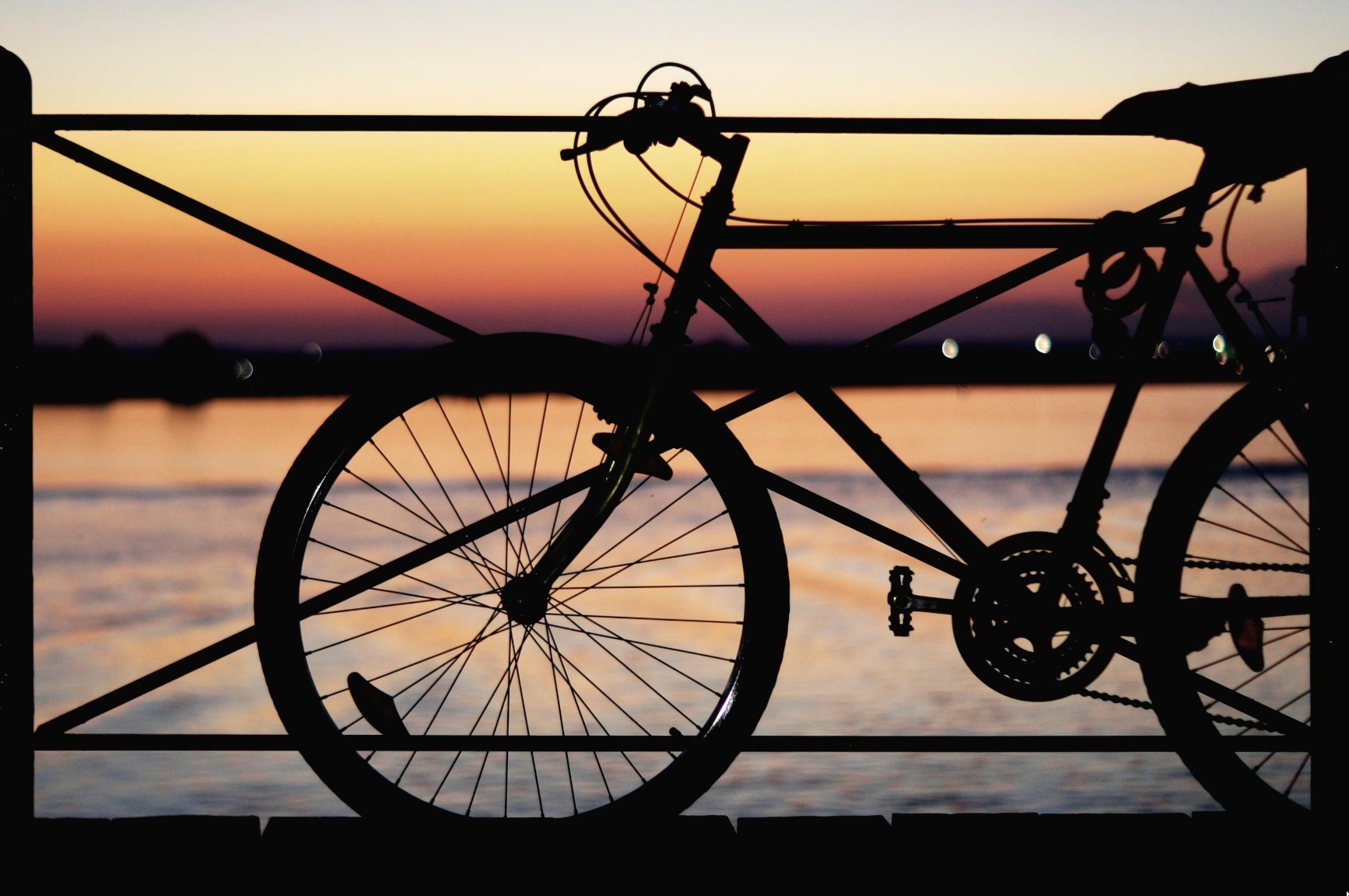 Россияне предпочитают велосипеды и самокаты роликам и скейтбордам